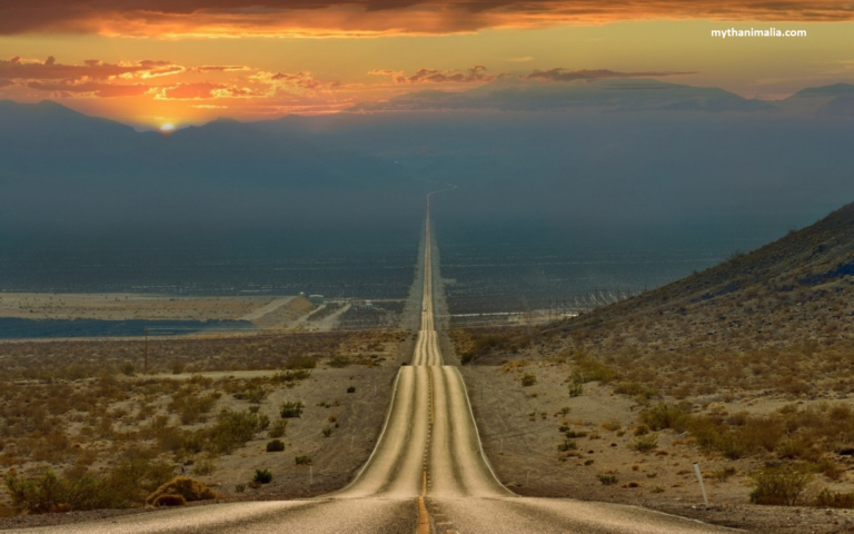 Discover the dedicated efforts to preserve and protect the wildlife of Death Valley, you can contribute to safeguarding the unique ecosystem.