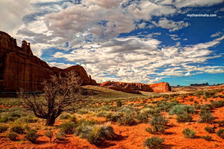 Discover the endangered species fighting for survival in harsh desert environments. Discover the unique plants thriving in desert ecosystems.