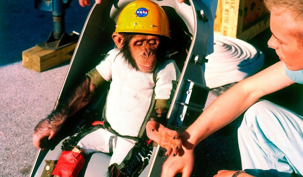 Ham the Chimp, Wildlife Animals in Space.